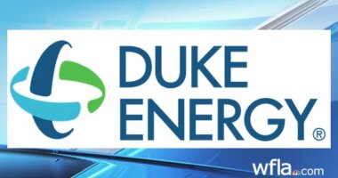 City of Clearwater approves extra $100k for appraisal study of creating new power company