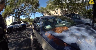 Clearwater police remove 5-foot boa constrictor from woman’s car: ‘Another day in Florida’