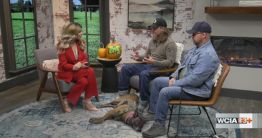 Community Spotlight: Mission K9 Warrior