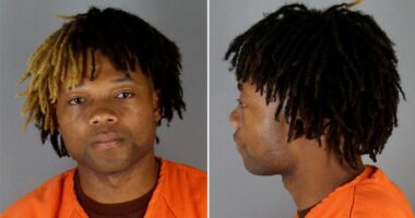 Convicted Minnesota sex offender, 22, accused of posing as high school student on football team