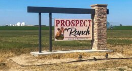 Coroner identifies cause of death for 6 who collapsed at Colorado dairy farm