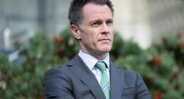 Premier Chris Minns at NSW Parliament on Thursday, where the NSW government announced new legislation to increase the minimum non-parole period in cases of intimate partner homicide. Thursday 16th October 2025. Photo: Sitthixay Ditthavong
