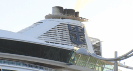 Cruise ship carrying nearly 100 people sick with norovirus docks in Florida
