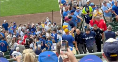Cubs fan dragged out of stadium in handcuffs in crazy playoff scene
