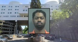 Dad beat toddler to death after 'bad news' about business