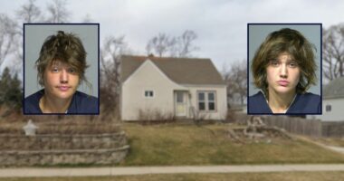 Daughter bludgeoned mother to death with rock, police say