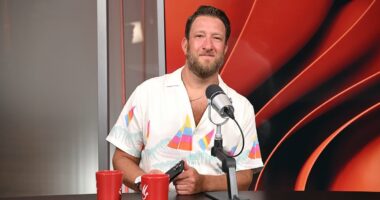 Dave Portnoy slams Taylor Swift for song about Travis Kelce's manhood