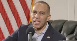 Democrats launch livestream that attracts 'just a few dozen' viewers