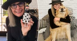 Diane Keaton’s health unexpectedly ‘declined very suddenly’ in months leading to her death