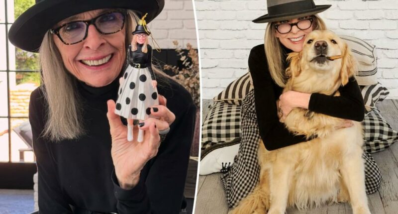 Diane Keaton’s health unexpectedly ‘declined very suddenly’ in months leading to her death