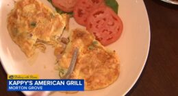 Dishing With Diane: Kappy's American Grill on Dempster Street in Morton Grove