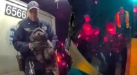 Dramatic video shows NYPD officers rescue missing dog Moose from beneath Manhattan subway train