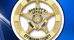 Driver dead after utility pole collision Friday