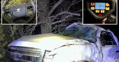 Druken 13-year-old accused of crashing, flipping 'stolen' car during high-speed wrong-way joyride: cops