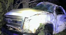 Drunk 13-year-old crashes stolen vehicle with 11-year-old passenger inside in Arizona