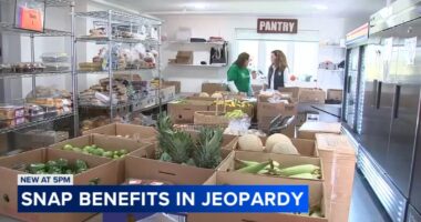 DuPage County food pantries, like Glen House, Northern Illinois Food Bank, worry they can't meet need after SNAP benefits end