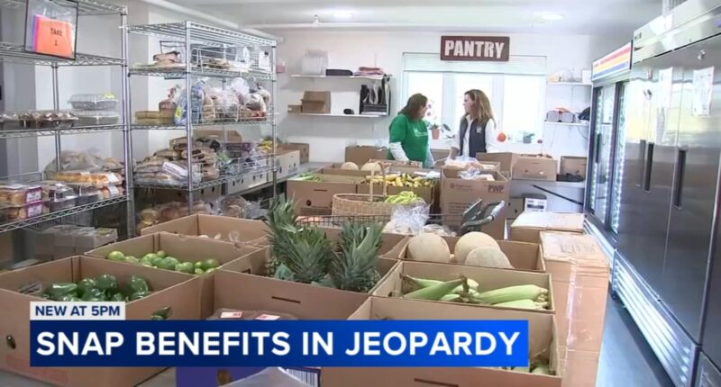 DuPage County food pantries, like Glen House, Northern Illinois Food Bank, worry they can't meet need after SNAP benefits end