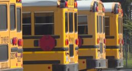 Duval Schools says magnet school transportation program won't be cut