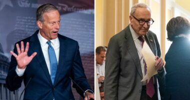 Dwindling paychecks add pressure on GOP, Trump, Democrats to end shutdown