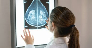 Early detection saves lives: Eligible women in Illinois can receive free mammogram screenings