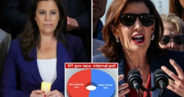 Elise Stefanik just 5 points behind Kathy Hochul in NY governor's race: internal poll