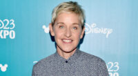 Ellen DeGeneres' Scrappy Brunette 'Do Is A Failure