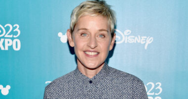 Ellen DeGeneres' Scrappy Brunette 'Do Is A Failure