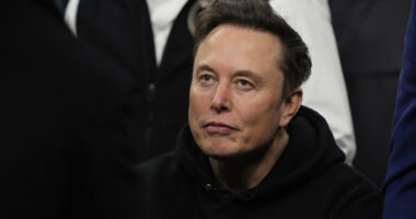 Elon Musk launches Grokipedia to compete with online encyclopedia Wikipedia