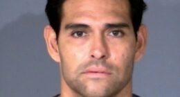 Ex-NFL QB Mark Sanchez released from custody a week after parking fight arrest and stabbing