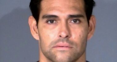 Ex-NFL QB Mark Sanchez released from custody a week after parking fight arrest and stabbing