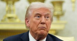 Ex-judges use Alexander Hamilton to warn SCOTUS about Trump