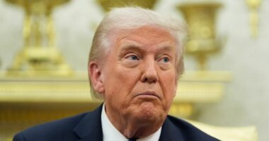 Ex-judges use Alexander Hamilton to warn SCOTUS about Trump