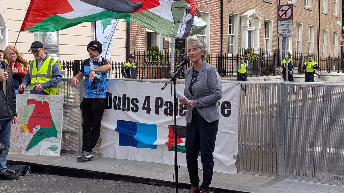 Extremist left-winger Catherine Connolly who said Israel behaved like 'terrorist state' and Hamas were 'part of the civil society of Palestine' becomes new Irish president