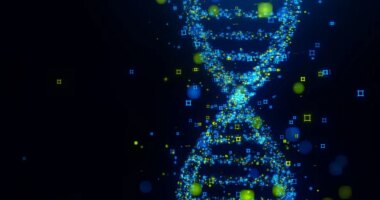FBI hopes DNA can solve decades-old case of Amy Mihaljevic