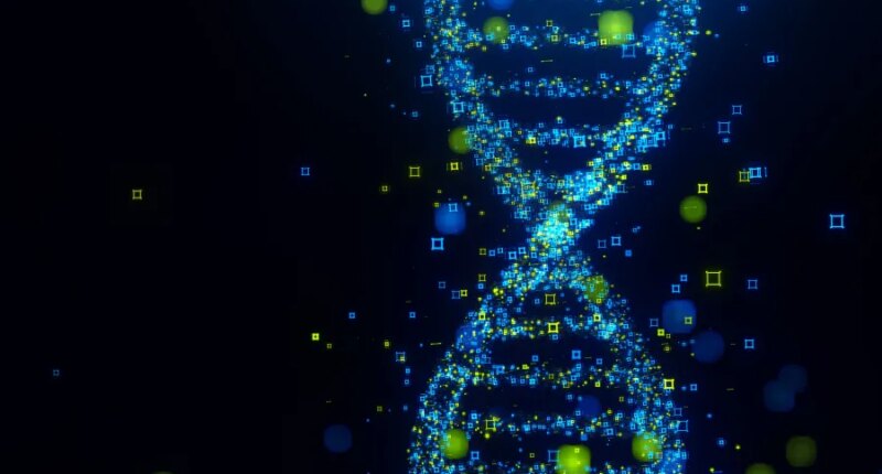 FBI hopes DNA can solve decades-old case of Amy Mihaljevic