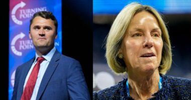 Fact Check: Detroit Lions Owner Sheila Ford Hamp Charlie Kirk Towel Distribution Debunked