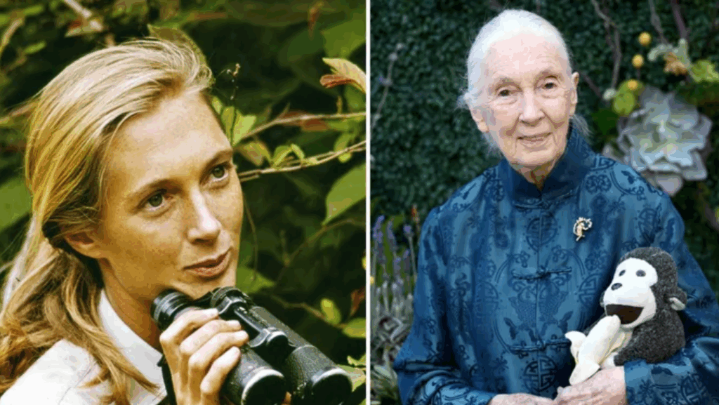 Facts Check: Know More About Jane Goodall Family and Net Worth