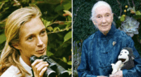 Facts Check: Know More About Jane Goodall Family and Net Worth