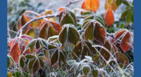 Fall is losing its chill