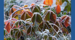 Fall is losing its chill