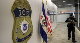Federal agents nab 1,000+ illegal aliens in major Illinois sweep: ‘Making the state safe again’