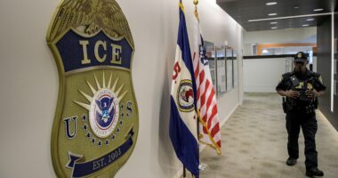 Federal agents nab 1,000+ illegal aliens in major Illinois sweep: ‘Making the state safe again’