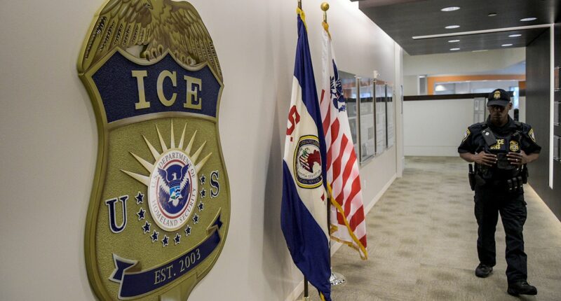 Federal agents nab 1,000+ illegal aliens in major Illinois sweep: ‘Making the state safe again’