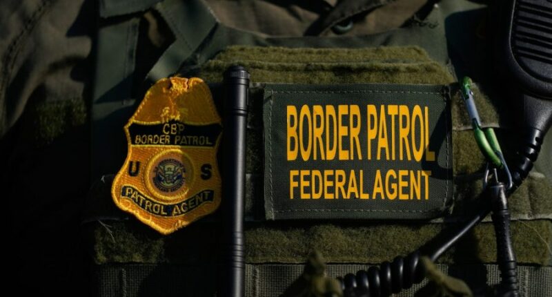 Feds charge Chicago woman shot by Border Patrol, another driver with assault