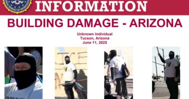 Feds seek 'agitator' accused of damaging Arizona ICE building