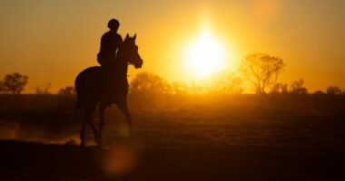 Birdsville Races