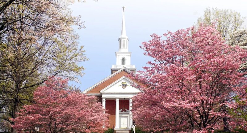 First college offers to join Trump's academic excellence compact after others nationwide dodge agreement