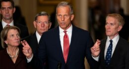 Five Senate Democrats the GOP is trying to flip on government funding