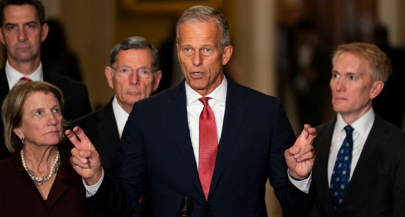 Five Senate Democrats the GOP is trying to flip on government funding