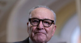 Flights to L.A. Halted Due to Staffing Shortages During Schumer Shutdown